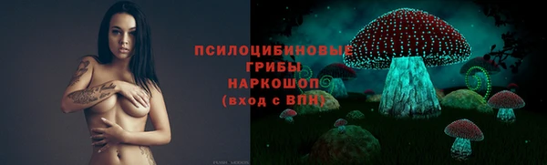 ALPHA-PVP Каменка