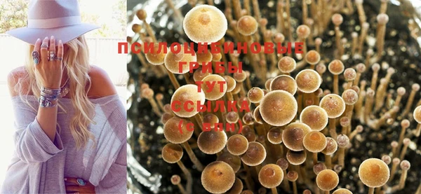 дурь Каменск-Шахтинский